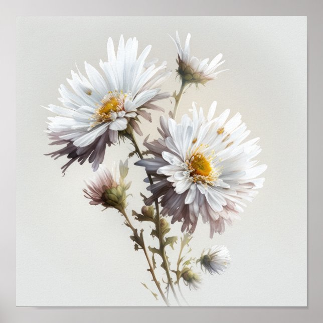 White Aster Blumen Art Print Poster (Vorne)