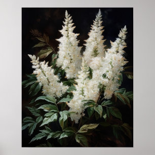 White Astilbe Blume Art Print Poster