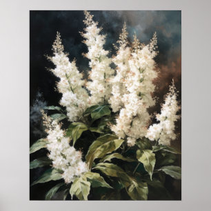 White Astilbe Blume Art Print Poster