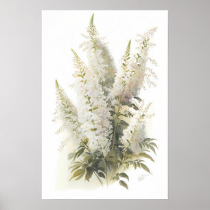 White Astilbe Blumen Art Print Poster