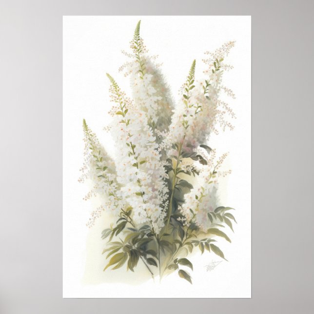 White Astilbe Blumen Art Print Poster (Vorne)