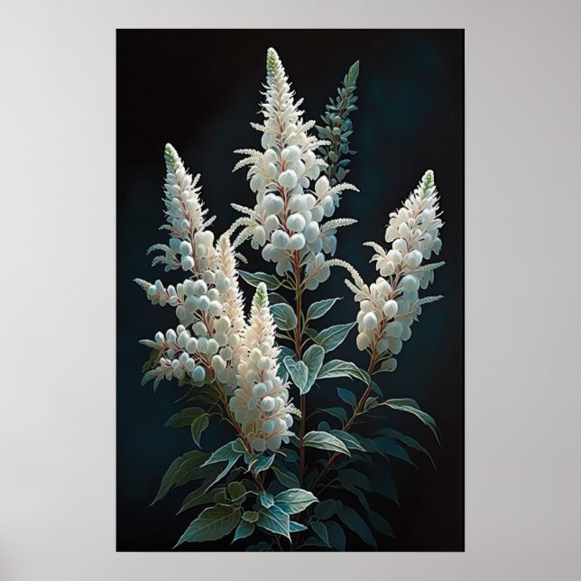 White Astilbe Blumen Art Print Poster (Vorne)