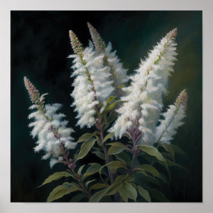 White Astilbe Blumen Art Print Poster