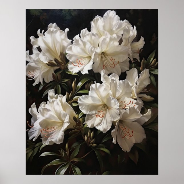 White Azalea Blume Art Print Poster (Vorne)