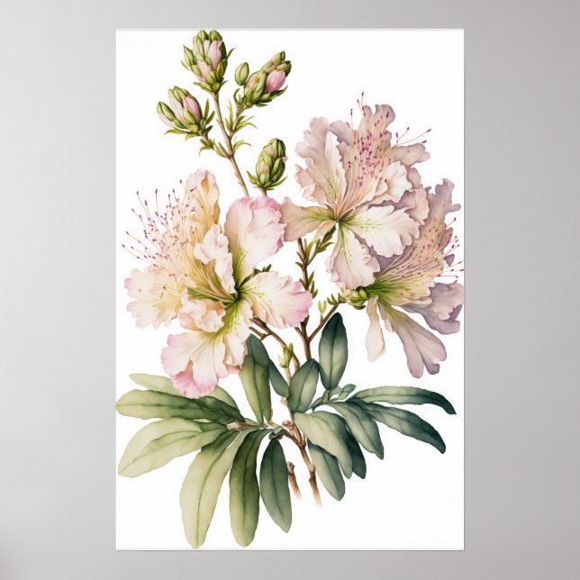 White Azalea Blume Art Print Poster (Vorne)