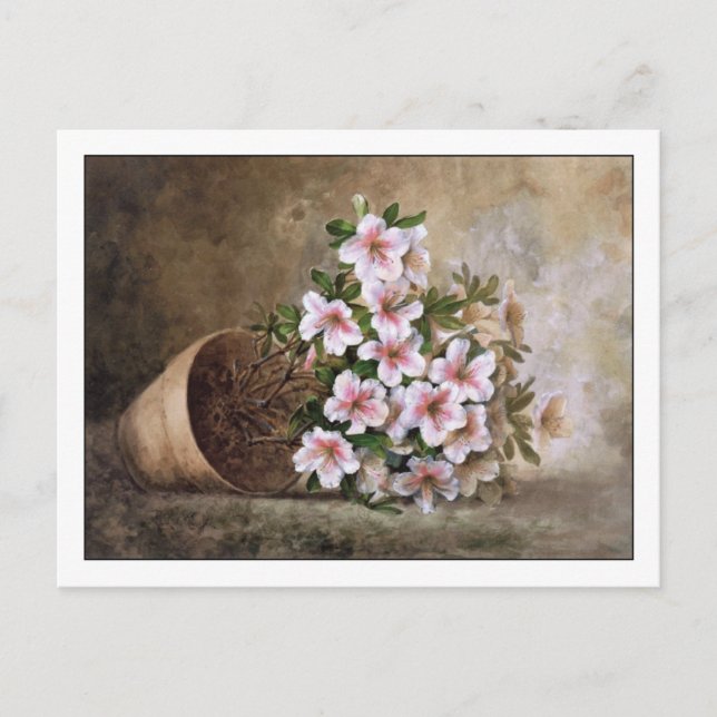 White Azaleas Fine Art Still Life Paul de Longpre Postkarte (Vorderseite)