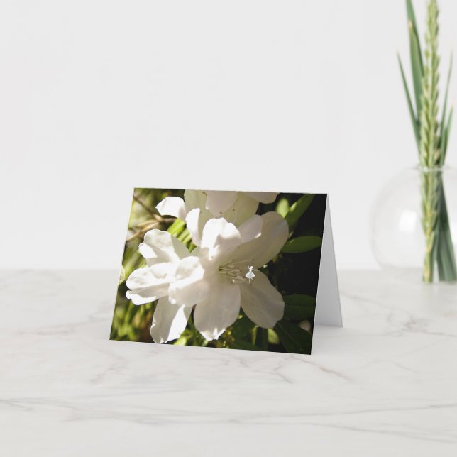 White Azalia Shadow Fairy Karte (Vorderseite)