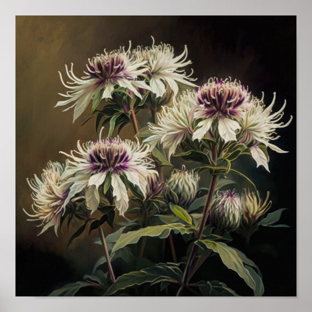 White Bee Balm Blume Art Print Poster (Vorne)