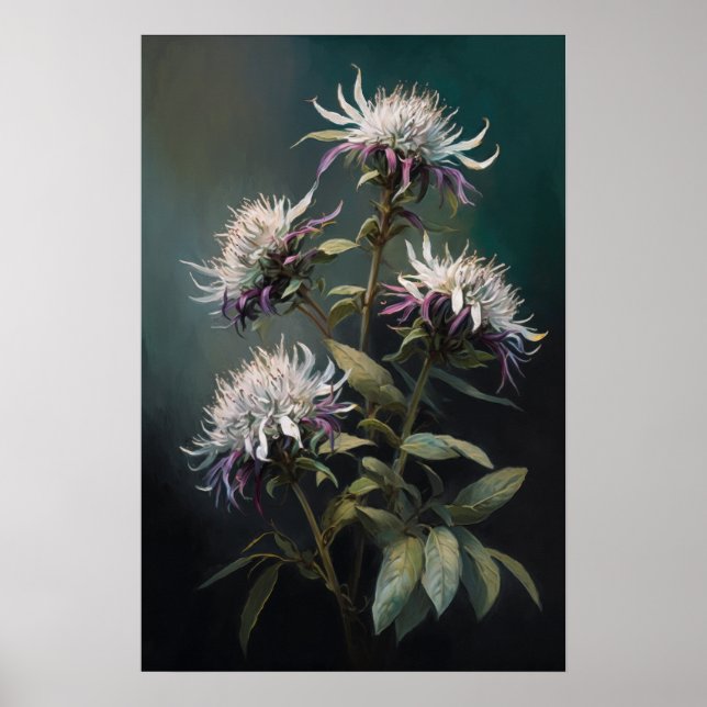 White Bee Balm Blume Art Print Poster (Vorne)