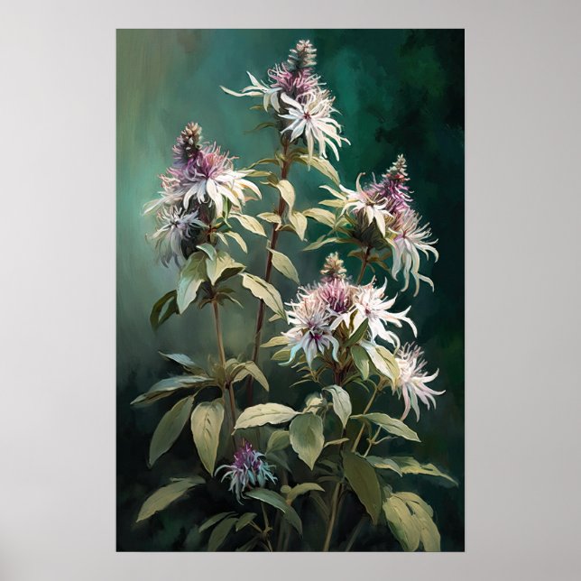 White Bee Balm Blume Art Print Poster (Vorne)