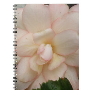 White Begonia Blume Notebook Notizblock