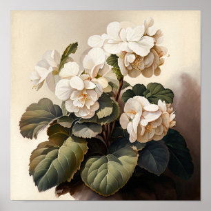 White Begonias Blume Art Print Poster