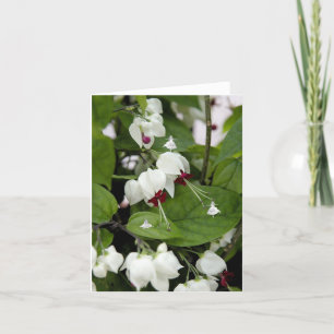 White Bells Shadow Fairies Karte