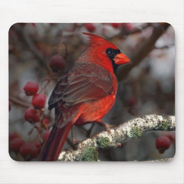 White Berries Primitive Christmas Red Kardinal Mousepad (Vorne)