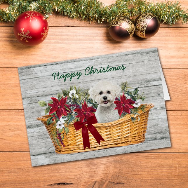 White Bichon Frise Hund in Basketball Weihnachtska (Von Creator hochgeladen)