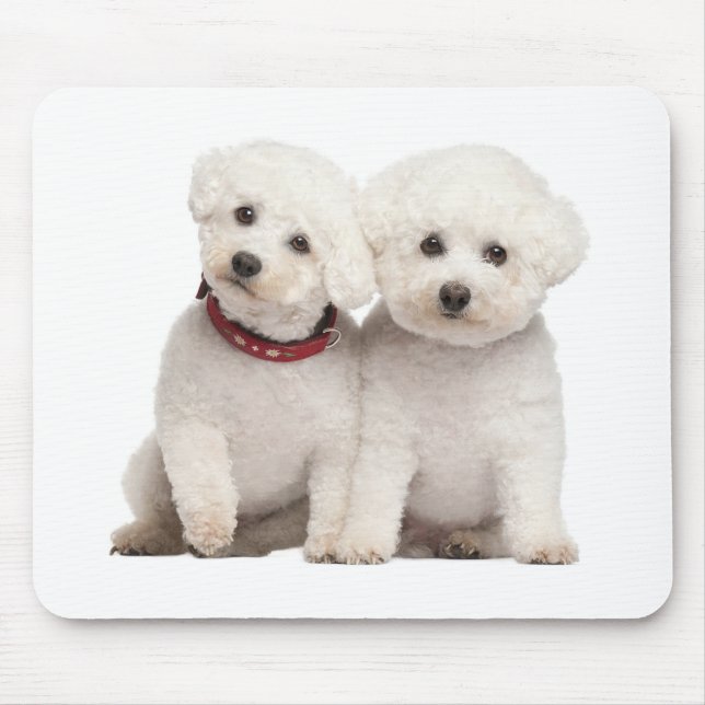 White Bichon Frise Welpe Hund Computer Mousepad (Vorne)
