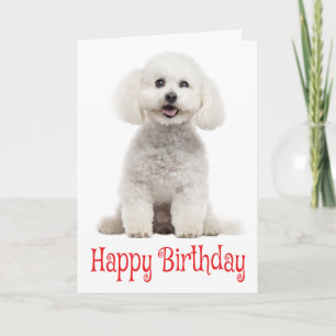 White Bichon Frise Welpe Hund Red Happy Geburtstag Karte
