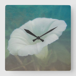 White Bindweed - Der wilde, ewige Morgenherrn Quadratische Wanduhr