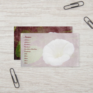 White Bindweed - Der wilde, ewige Morgenherrn Visitenkarte