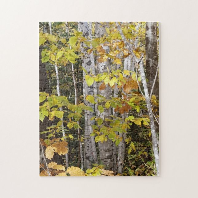 White Birch in Autumn Puzzle (Vertikal)