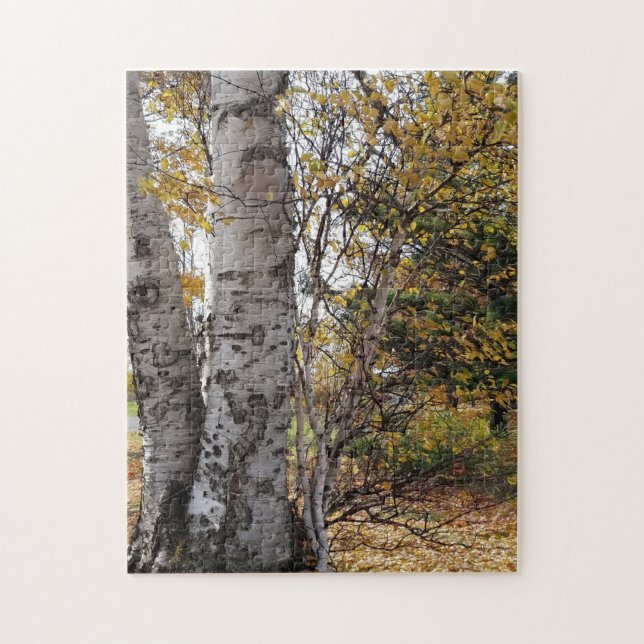 White Birch in Autumn Puzzle (Vertikal)