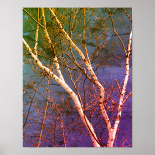 White Birch Tree Blue Sky stört Abstrakt Poster