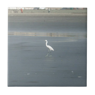 White Bird auf grauem Sand Beach Art Print Fliese