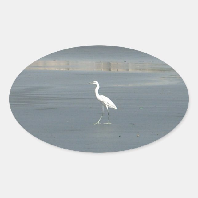White Bird auf grauem Sand Beach Art Print Ovaler Aufkleber (Vorderseite)