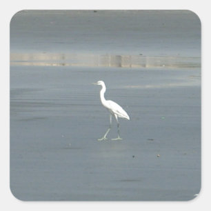 White Bird auf grauem Sand Beach Art Print Quadratischer Aufkleber