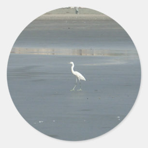White Bird auf grauem Sand Beach Art Print Runder Aufkleber