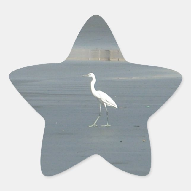 White Bird auf grauem Sand Beach Art Print Stern-Aufkleber (Vorderseite)