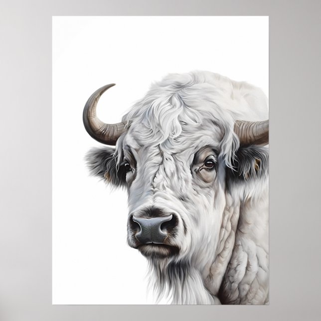 White Bison Buffalo Poster (Vorne)