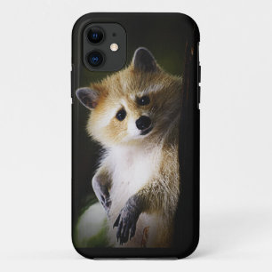 White Blond Raccoon Wildlife Süße Tier Case-Mate iPhone Hülle