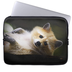 White Blond Raccoon Wildlife Süße Tier Laptopschutzhülle