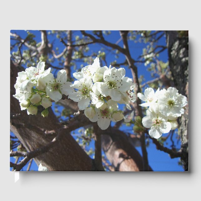 White Blossom Cluster Frühlingsblühende Birnbaum Gästebuch (Vorderseite)