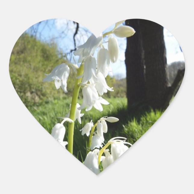 White Bluebells Stickers (Vorderseite)