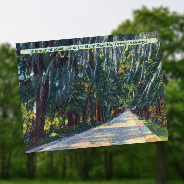 White Bluff Rd Beautiful Dr. Savannah GA Historic Postkarte (Von Creator hochgeladen)