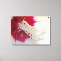 White Blume Blossom Foto Single drucken