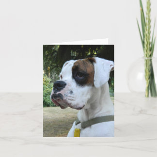 White Boxer Dog Portrait Karte