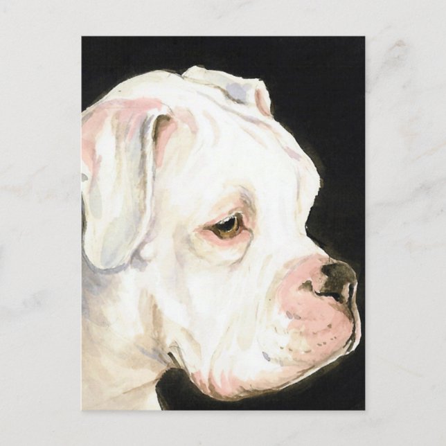 White Boxer Original Hund Postkarte (Vorderseite)