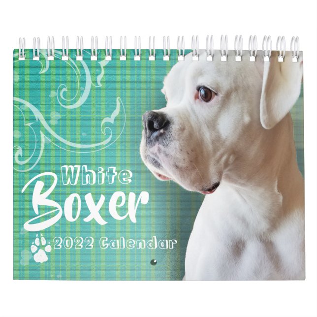 White Boxer Wall Calendar Kalender (Titelbild)