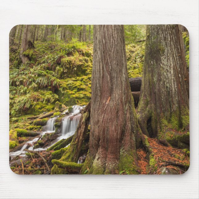 White Branch Falls, Oregon Cascades, Oregon Mousepad (Vorne)