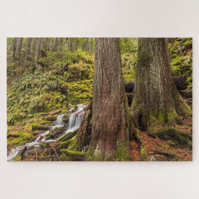 White Branch Falls, Oregon Cascades, Oregon Puzzle (Horizontal)