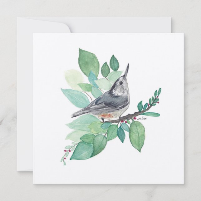 White Breastch Nuthatch Bird Art (Vorderseite)