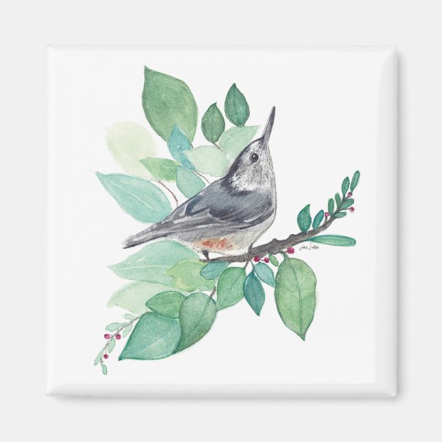 White Breastch Nuthatch Bird Art Magnet (Vorne)