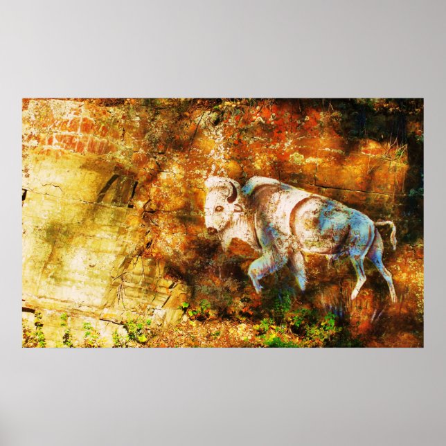 White Buffalo Cliff Art Poster (Vorne)