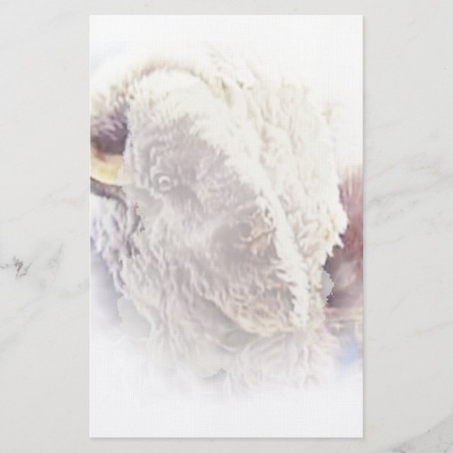 White Buffalo Stationery Briefpapier (Vorderseite)