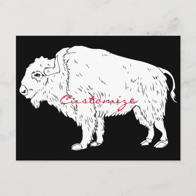 White Buffalo Thunder_Cove Postkarte (Vorderseite)