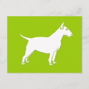 White Bull Terrier Postkarte