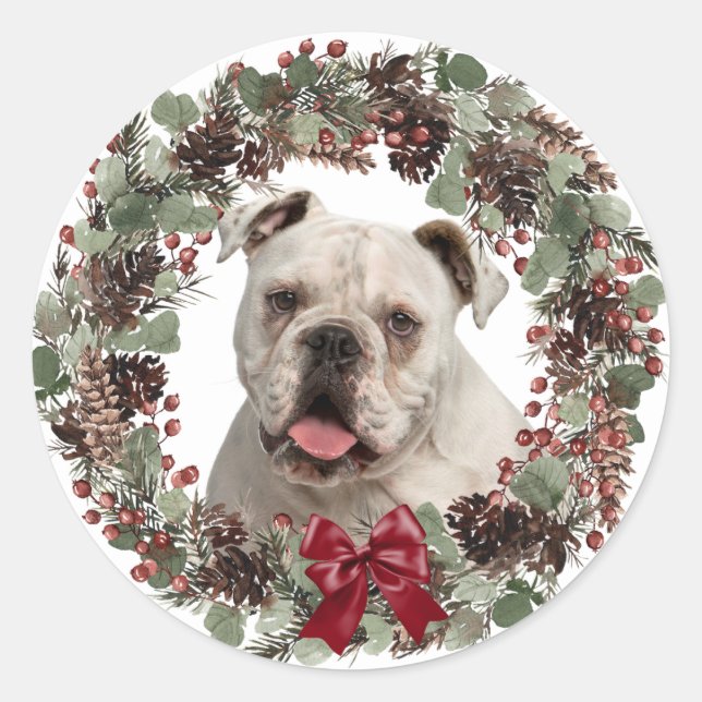 White Bulldog Pinecone Wreath Runder Aufkleber (Vorderseite)